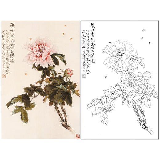 于非闇竖幅工笔花鸟白描底稿-粉牡丹-YF28 商品图0