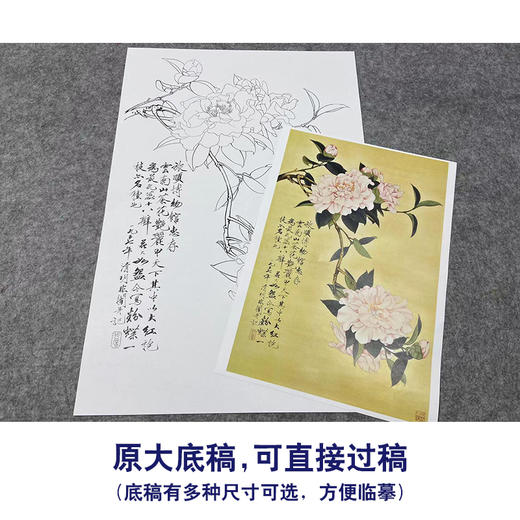 于非闇竖幅工笔花鸟白描底稿《云南山茶》-多种白描尺寸可选-YF43 商品图1