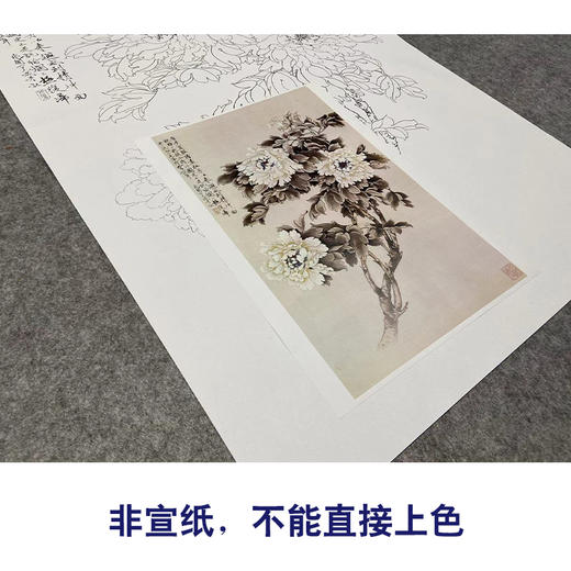 于非闇竖幅工笔花鸟白描底稿-白牡丹-YF05 商品图2