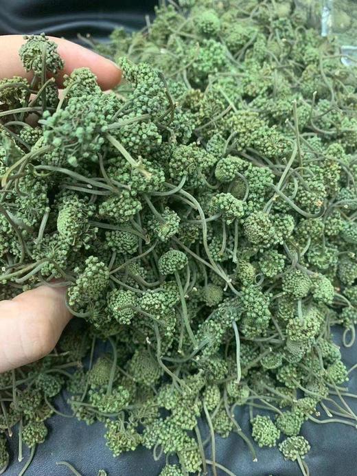 云南 三七花 商品图4