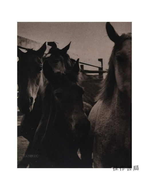 Manuel Naranjo Martell: 2016/曼努埃尔·纳兰霍·马泰尔：2016 商品图0