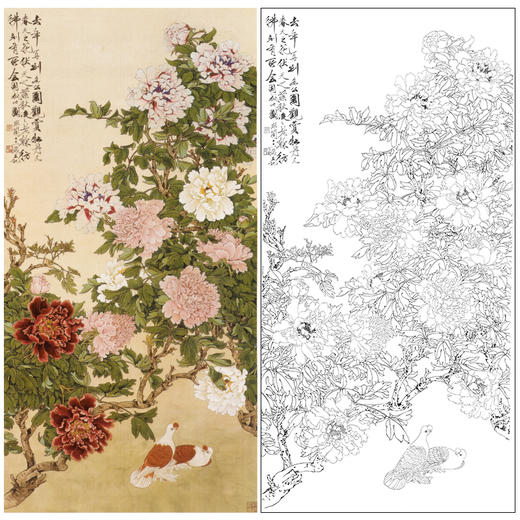 于非闇竖幅工笔花鸟白描底稿-牡丹双鸽-YF76 商品图0