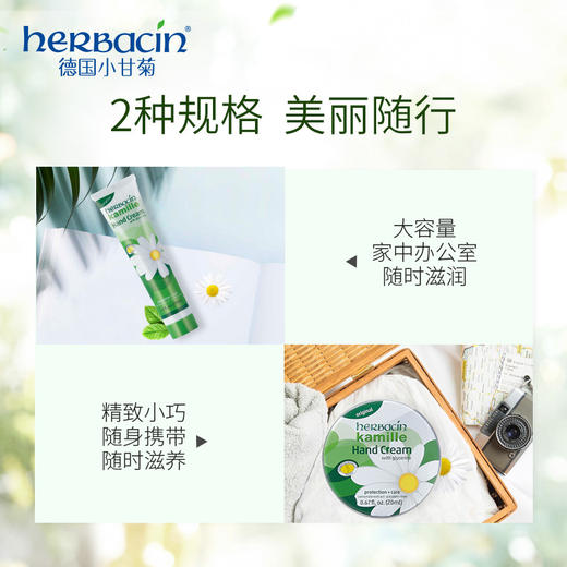 德国小甘菊雏菊经典护手霜2ml*4 商品图2