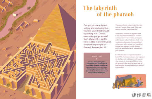 The Book of Labyrinths and Mazes/迷宫之书 商品图2
