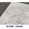 【大彩图】于非闇工笔画白描底稿《二乔牡丹图》牡丹临摹勾线高清打印稿YF26 商品缩略图4