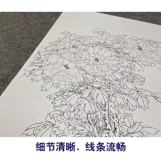 【大彩图】于非闇工笔画白描底稿《二乔牡丹图》牡丹临摹勾线高清打印稿YF26 商品图4