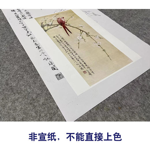 于非闇竖幅工笔花鸟白描底稿-鹦鹉梅花-红鹦白梅-YF50 商品图2