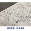 于非闇竖幅工笔花鸟白描底稿-山茶花梅花-YF12 商品缩略图4