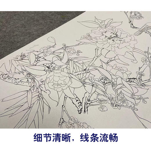 于非闇竖幅工笔花鸟白描底稿-山茶花梅花-YF12 商品图4