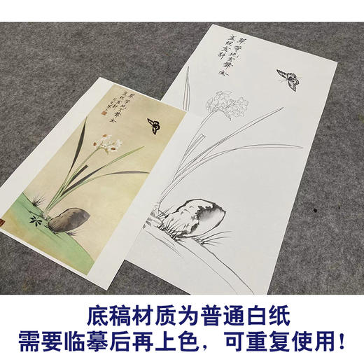 于非闇竖幅工笔花鸟白描底稿-水仙花蝴蝶-YF38 商品图3