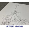 【大彩图】于非闇工笔画白描底稿《红白山茶》山茶花临摹勾线高清打印稿YF03 商品缩略图4