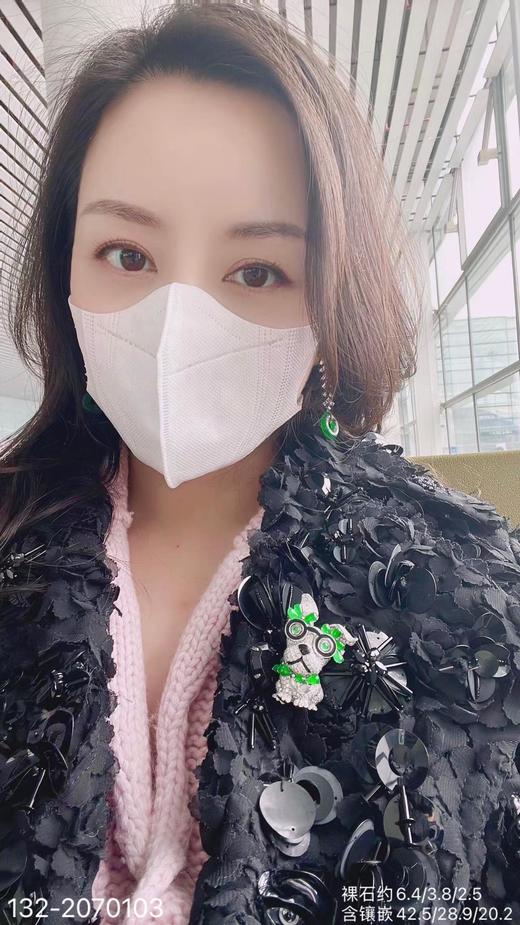 132-2070103，小狗胸针。具体价格微信咨询 商品图4