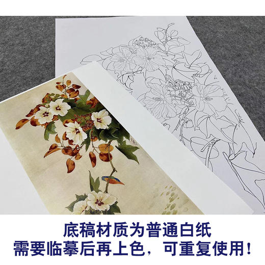 于非闇竖幅工笔花鸟白描底稿-翠鸟芙蓉花YF10 商品图3