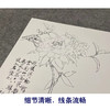 于非闇竖幅工笔花鸟白描底稿《云南山茶》-多种白描尺寸可选-YF43 商品缩略图4