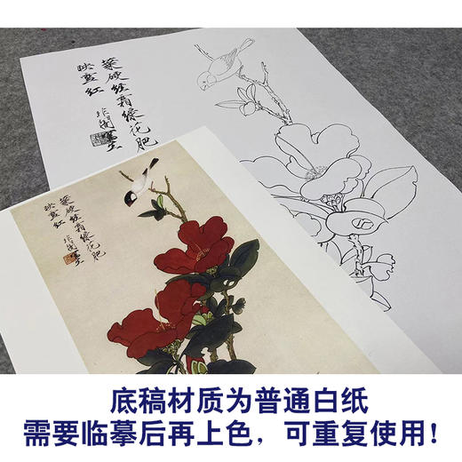 于非闇竖幅工笔花鸟白描底稿《山茶伯劳》-多种白描尺寸可选-YF54 商品图3