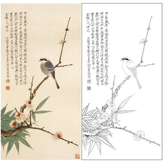 于非闇竖幅工笔花鸟白描底稿梅竹伯劳图多种白描尺寸可选yf52