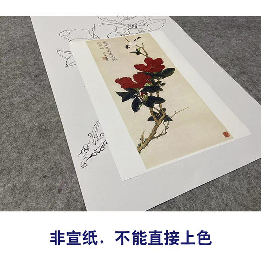 于非闇竖幅工笔花鸟白描底稿《山茶伯劳》-多种白描尺寸可选-YF54 商品图2