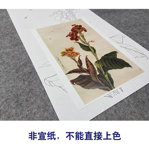 于非闇竖幅工笔花鸟白描底稿《美人蕉》-多种白描尺寸可选-YF32 商品图2