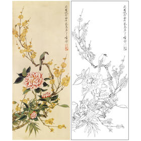 于非闇竖幅工笔花鸟白描底稿-山茶花梅花-YF12