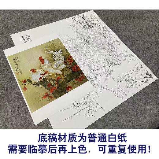 于非闇工笔花鸟白描底稿-公鸡《大吉图》斗方小品册页-多种白描尺寸可选-YF01 商品图3
