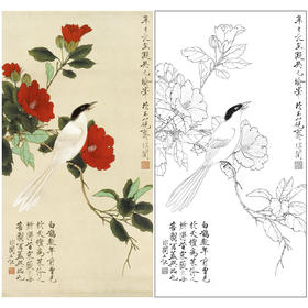 于非闇竖幅工笔花鸟白描底稿山茶花《白雀图》-多种白描尺寸可选-YF45