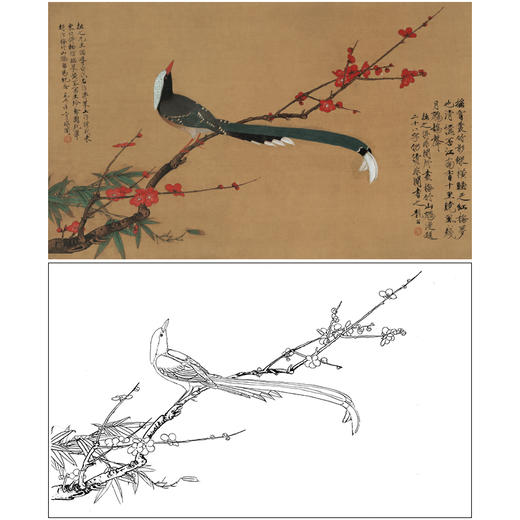 【大彩图】于非闇横幅工笔画白描底稿《红梅鹧鸪图》临摹勾线高清打印稿A190 商品图0