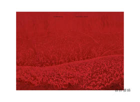 Eduardo Nave: Normandie/爱德华多·内夫：诺曼底