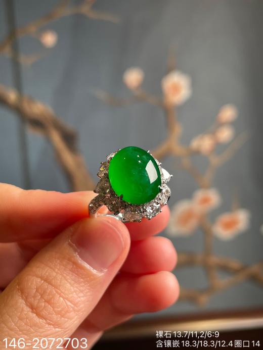 146-2072703，老坑艳绿蛋面戒指。具体价格微信咨询 商品图2