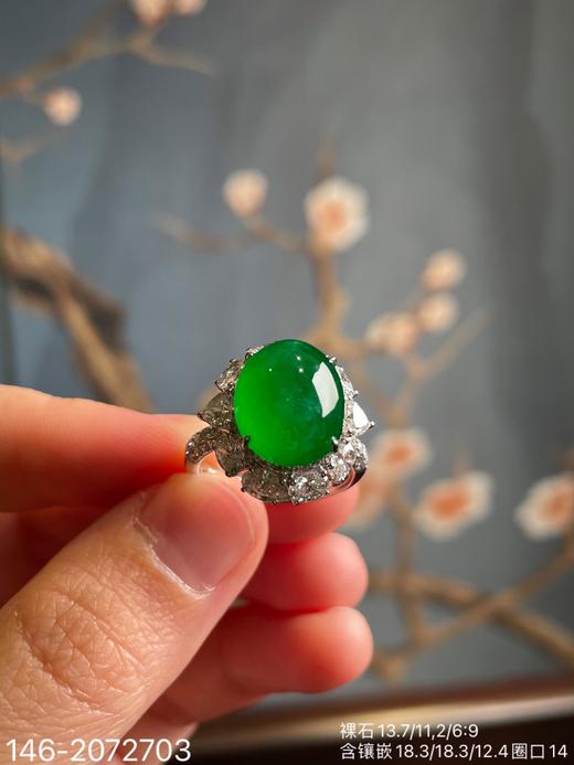 146-2072703，老坑艳绿蛋面戒指。具体价格微信咨询 商品图6