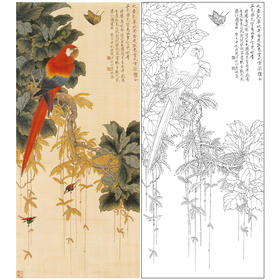 于非闇竖幅工笔花鸟白描底稿-鹦鹉-YF18