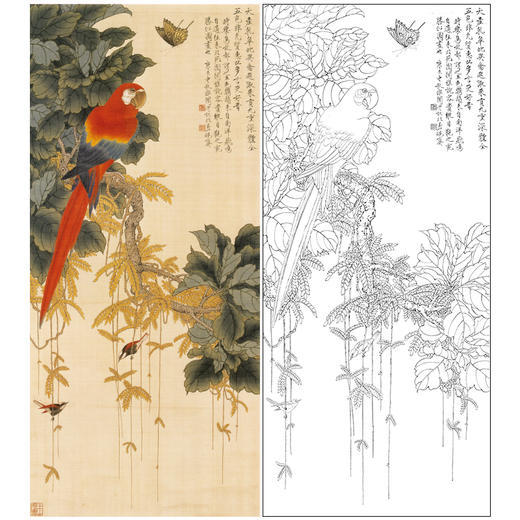 于非闇竖幅工笔花鸟白描底稿-鹦鹉-YF18 商品图0