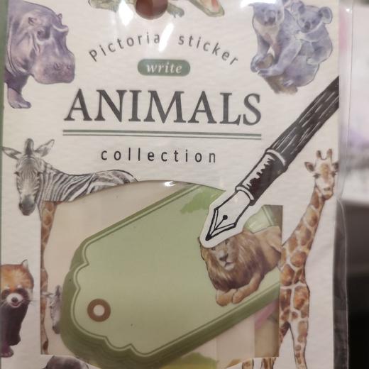 MW本册78439 商品图0