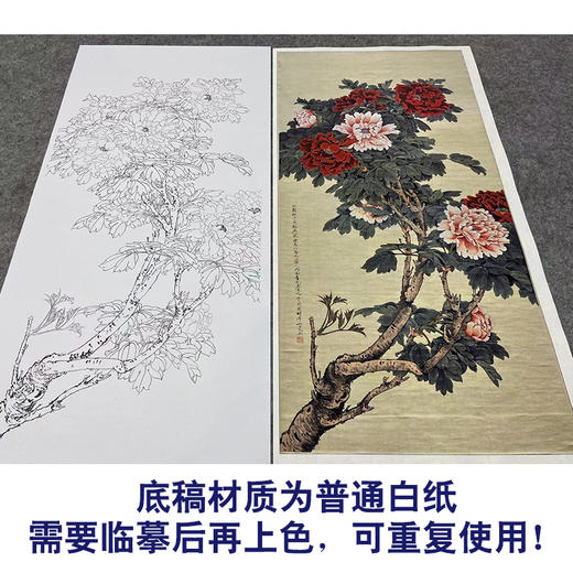 【大彩图】于非闇工笔画白描底稿《二乔牡丹图》牡丹临摹勾线高清打印稿YF26 商品图3
