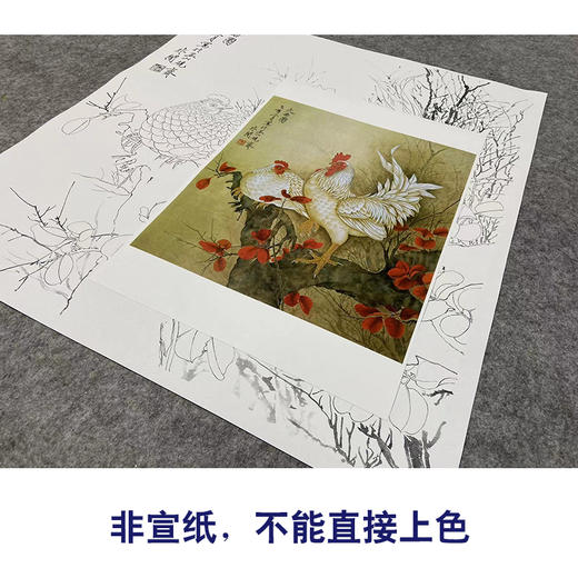 于非闇工笔花鸟白描底稿-公鸡《大吉图》斗方小品册页-多种白描尺寸可选-YF01 商品图2