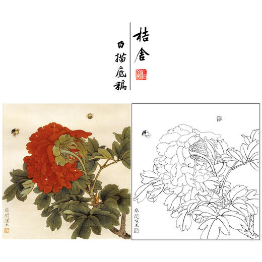 于非闇工笔花鸟白描底稿-红牡丹-斗方小品册页-YF30 商品图0
