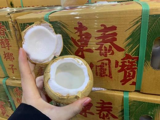东泰国宝椰皇 椰子才是夏天的味道 商品图4