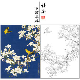 于非闇工笔花鸟白描底稿-玉兰花黄鹂-斗方小品册页-YF87
