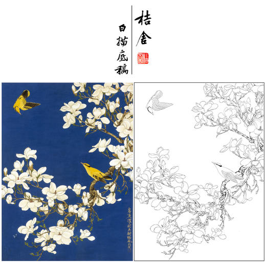 於非闇工筆花鳥白描底稿-玉蘭花黃鸝-斗方小品冊頁-yf87 - 桔舍