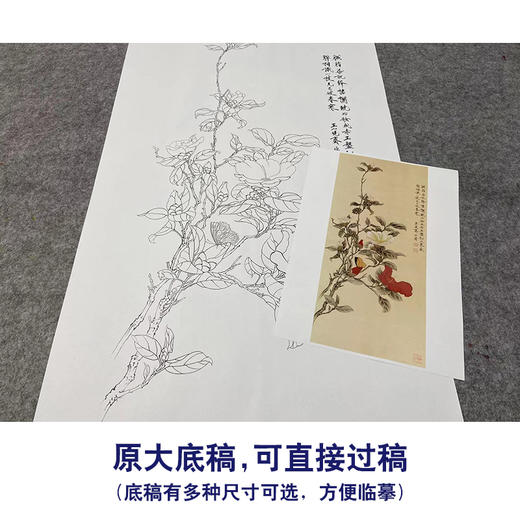 【大彩图】于非闇工笔画白描底稿《红白山茶》山茶花临摹勾线高清打印稿YF03 商品图1