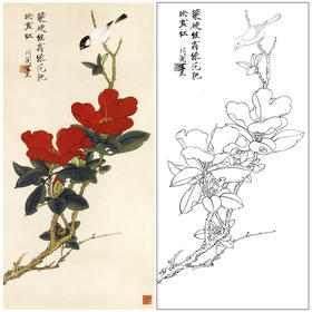 于非闇竖幅工笔花鸟白描底稿《山茶伯劳》-多种白描尺寸可选-YF54