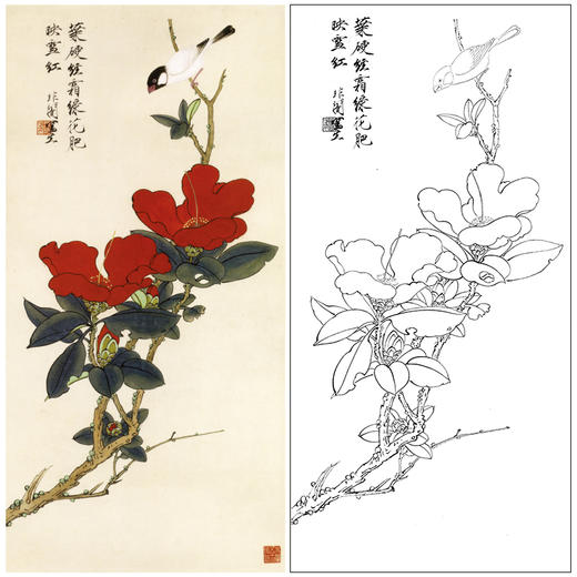 于非闇竖幅工笔花鸟白描底稿《山茶伯劳》-多种白描尺寸可选-YF54 商品图0