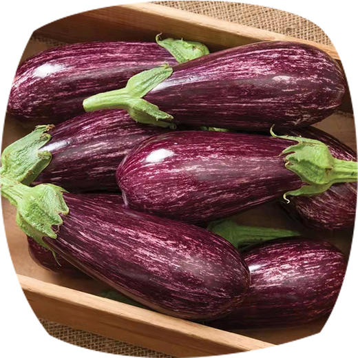 花茄子（严选） 商品图0
