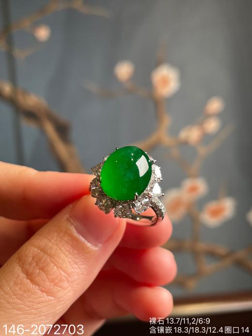 146-2072703，老坑艳绿蛋面戒指。具体价格微信咨询 商品图1