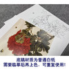 于非闇工笔花鸟白描底稿-红牡丹-斗方小品册页-YF30 商品缩略图3