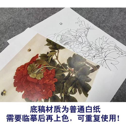 于非闇工笔花鸟白描底稿-红牡丹-斗方小品册页-YF30 商品图3