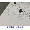 【大彩图】于非闇工笔画白描底稿《四喜图》喜鹊临摹勾线高清打印稿YF14 商品缩略图4
