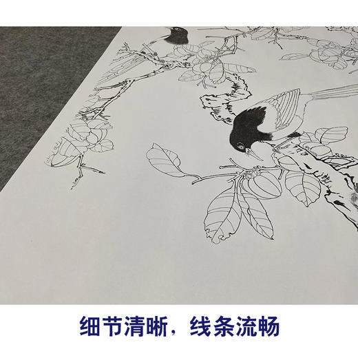 【大彩图】于非闇工笔画白描底稿《四喜图》喜鹊临摹勾线高清打印稿YF14 商品图4