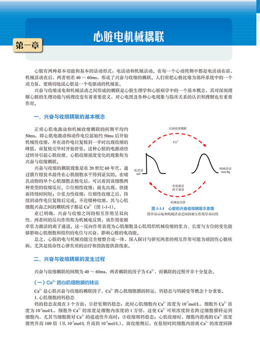 新概念心电图 第5版 郭继鸿 内科学心血管心电图诊断心电图手册 轻松学习心电图入门书籍医学影像北京大学医学出版社9787565916120 商品图4