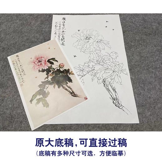 于非闇竖幅工笔花鸟白描底稿-粉牡丹-YF28 商品图1