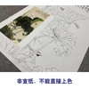 【大彩图】于非闇工笔画白描底稿《白荷蜻蜓》荷花临摹勾线高清打印稿YF06 商品缩略图2